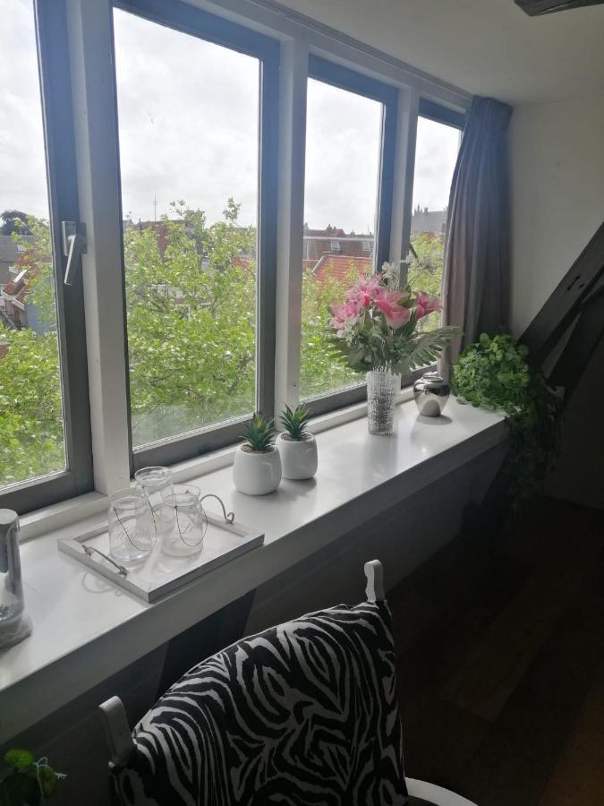 Wittezwaan Bed and Breakfast Harlingen Exteriör bild